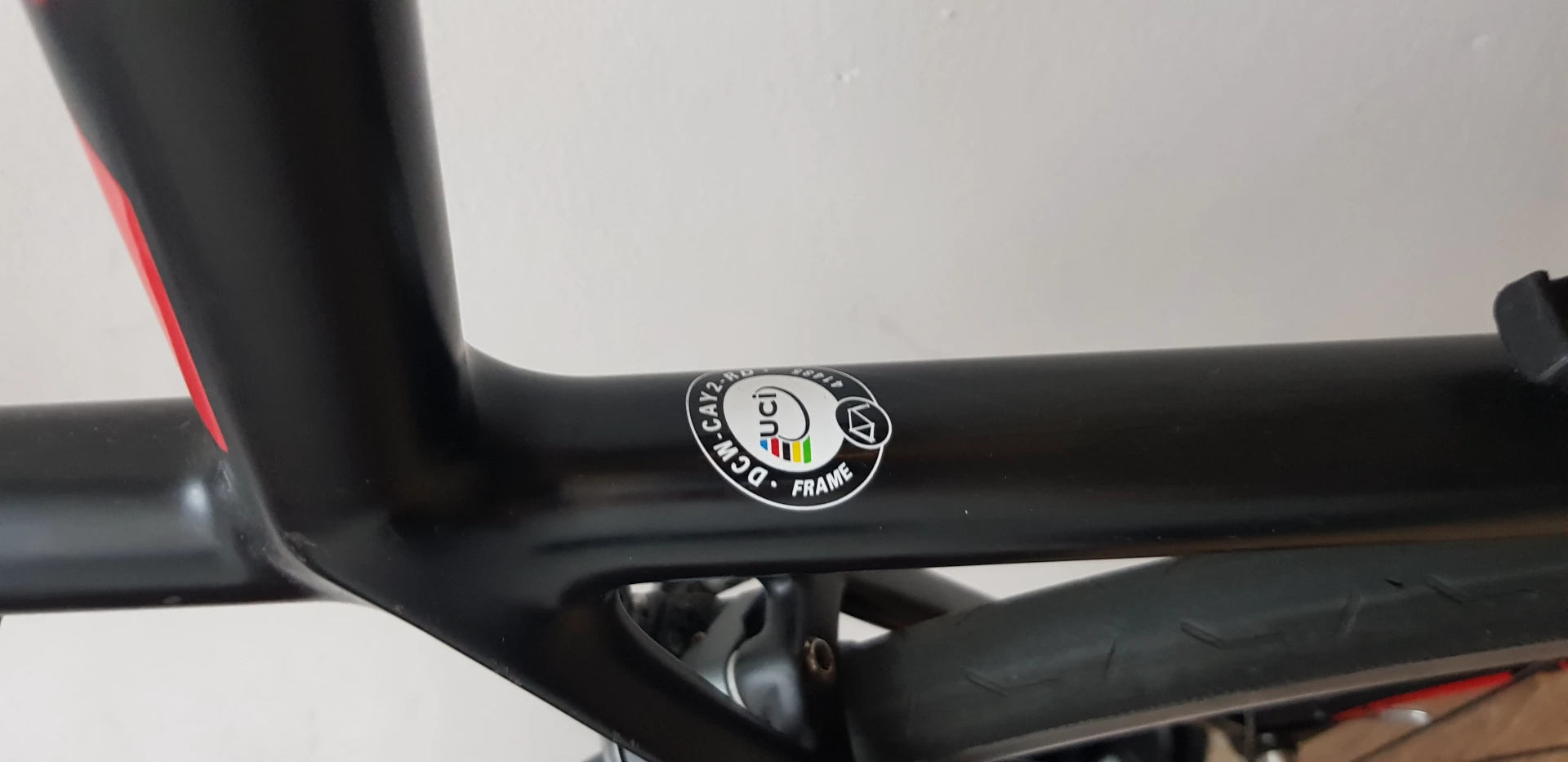 2. Cursiera carbon FOCUS CAYO