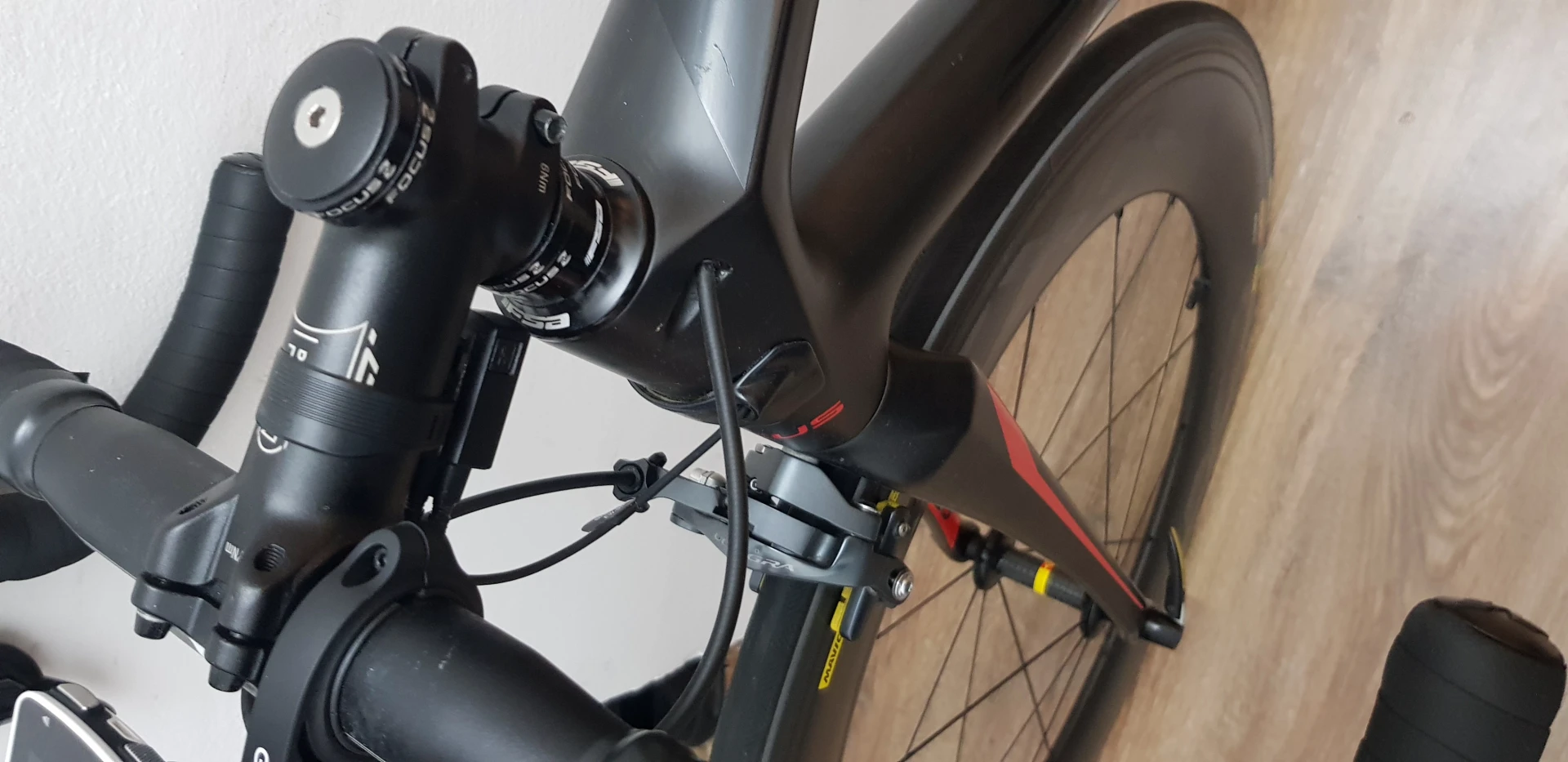 4. Cursiera carbon FOCUS CAYO