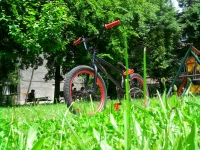 Ardeleanu Cristi ( Cristi - Bmx )
