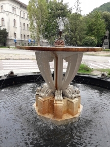 Petrisor Caucar