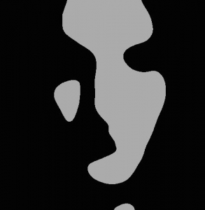 Florin Sferus