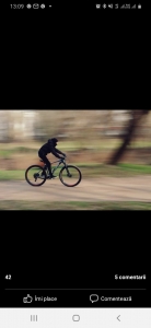 Ionut Radulescu