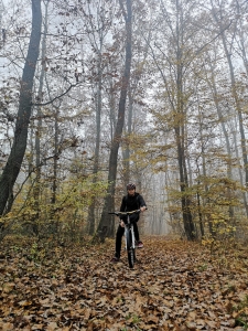 Denis Rusu