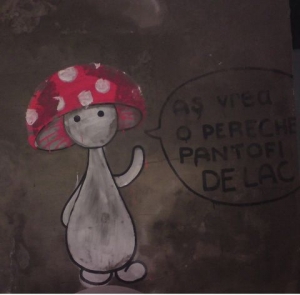 Cicocico Mihneaeusebiu