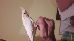 Ovidiu Dogaru Dogaru