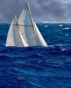Sebastian Nica Nica