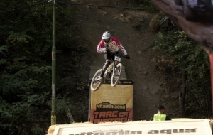 David Barbu