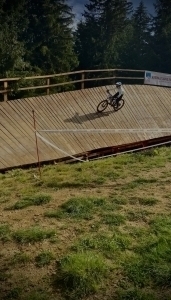 Alex Olareanu