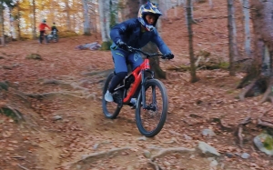 Cristian Cibi