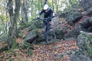 Alin Romulus Paul
