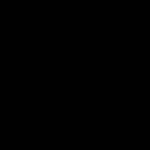 Flavius Ion