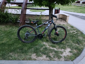 Damian Draghici