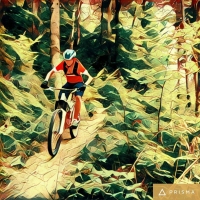 Radu Velicu