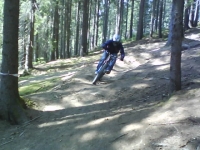 Florin Sabie