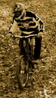 Codrin Michnea