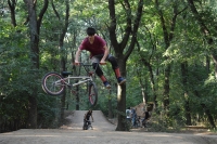 Yoshinori Constantin