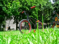 Ardeleanu Cristi ( Cristi - Bmx )