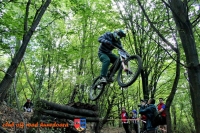 Viorel Cacuci