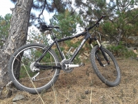 Bogdan Androne Sterca