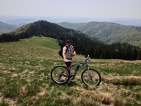Mihai Alexe