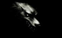 Dan Vorph