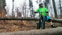 Cristian Bisca