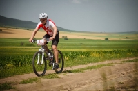 Daniel Petrescu