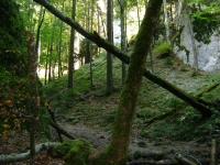 Ciuchilan Lucian
