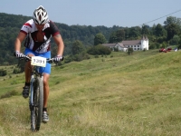 Andi Chifanescu