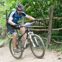 Mihai Moise