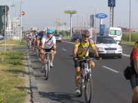Florin Mainescu