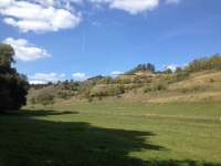 Flavione Dagostino