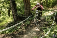 Vlad Ilie