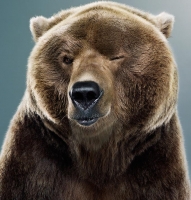 Vlad Oprea