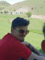 Razvan Brisc