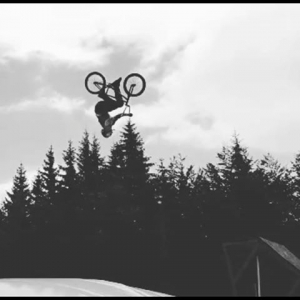 Daniel Toma