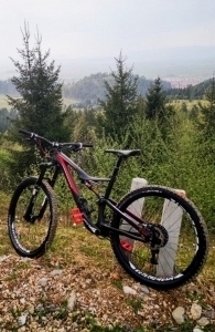Levente Vanasila
