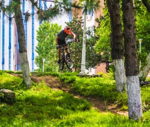 Vlad Anton
